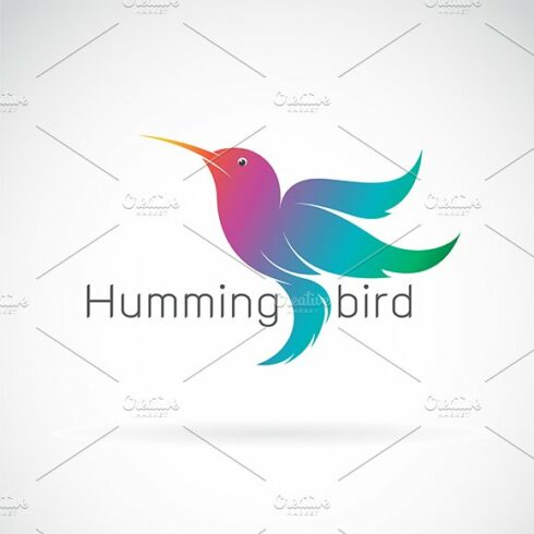 Vector of a hummingbird design. cover image.
