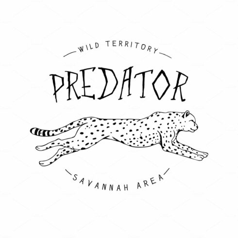 Logo with cheetah cover image.
