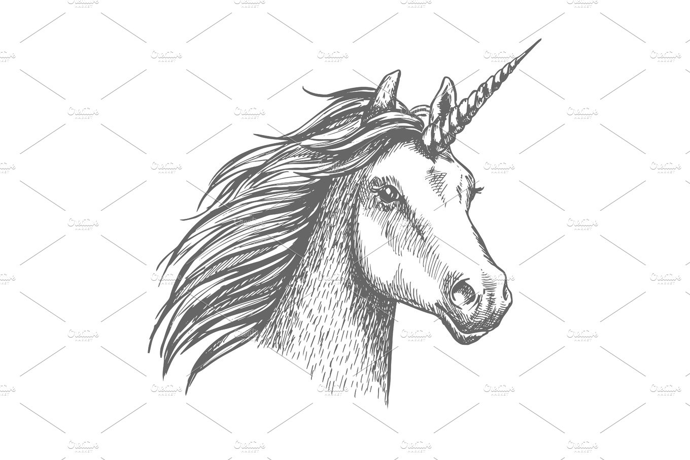 Unicorn vector sketch isolated head cover image.