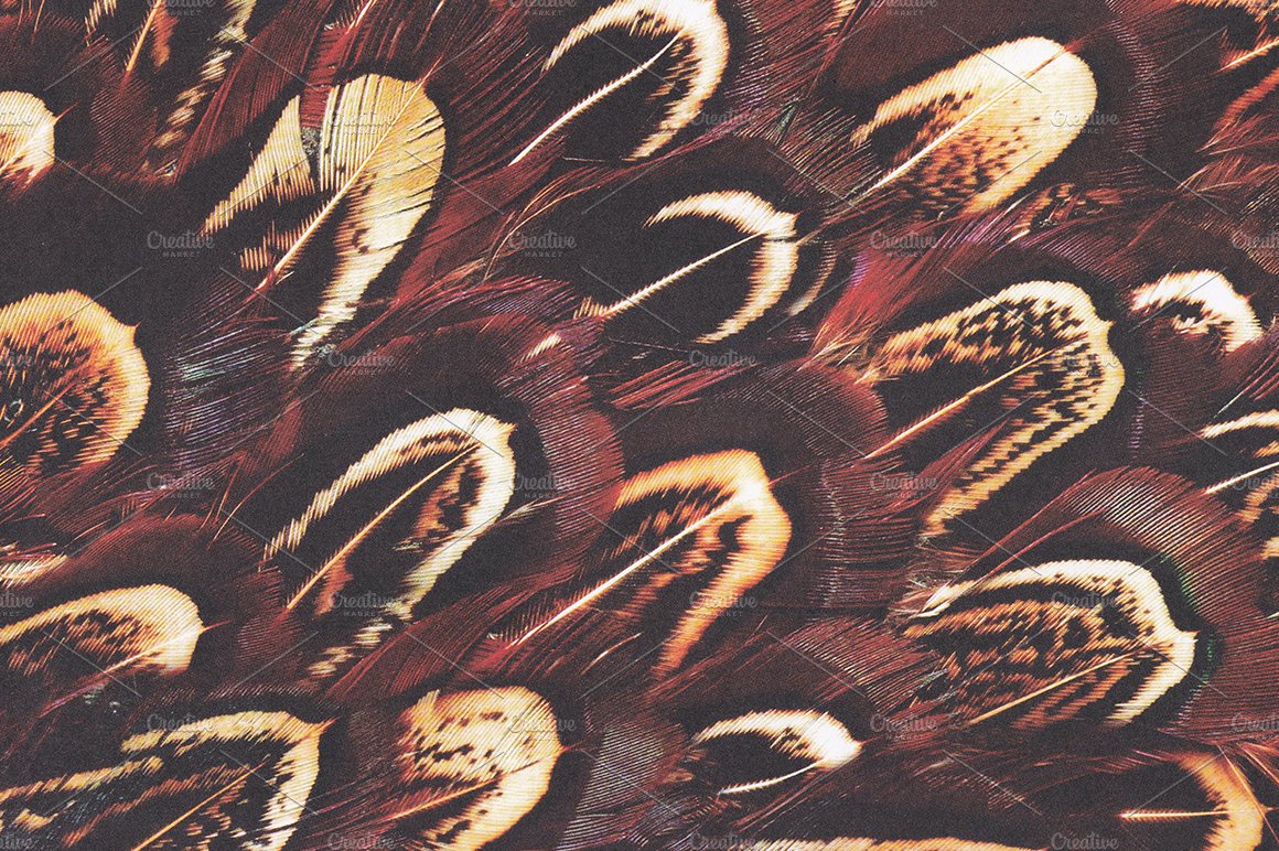 Feather Textures preview image.
