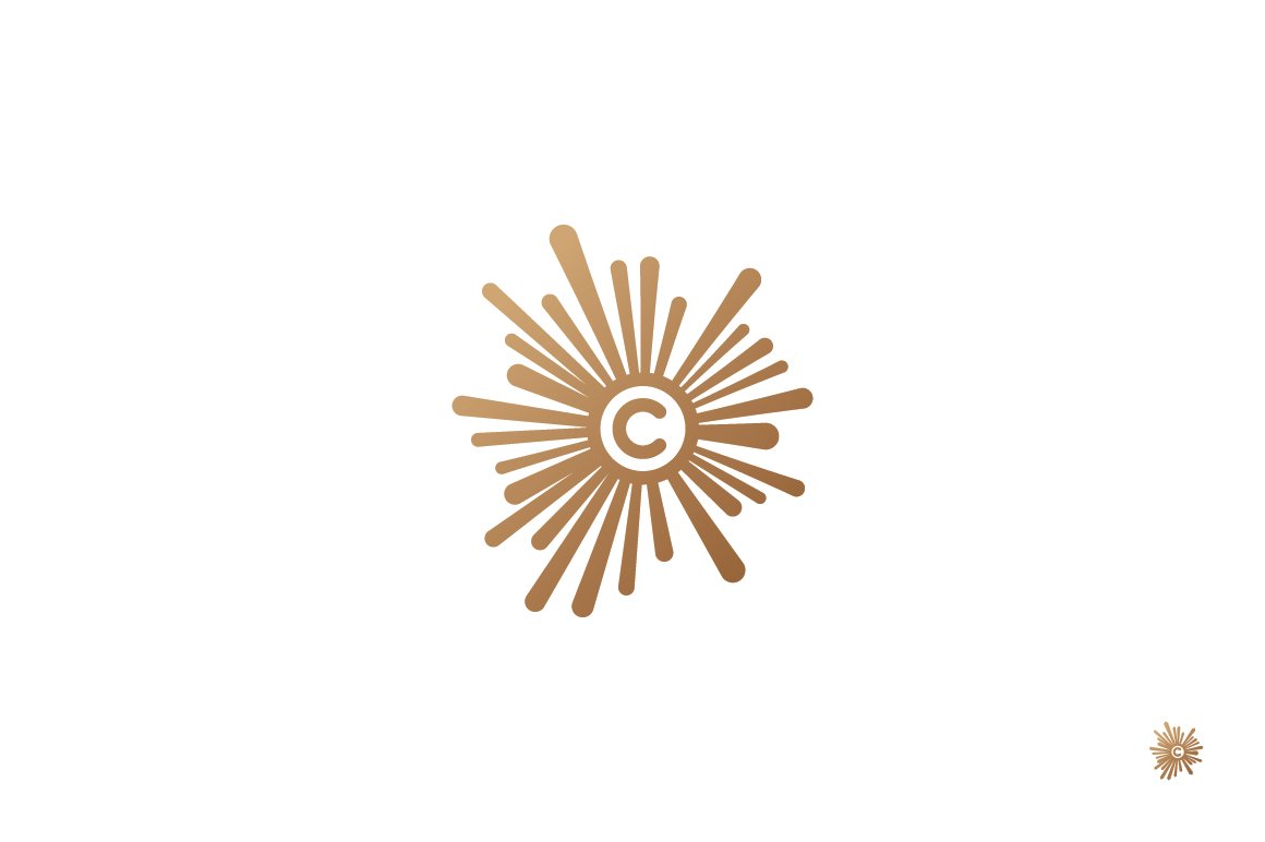 Star event company logo. preview image.