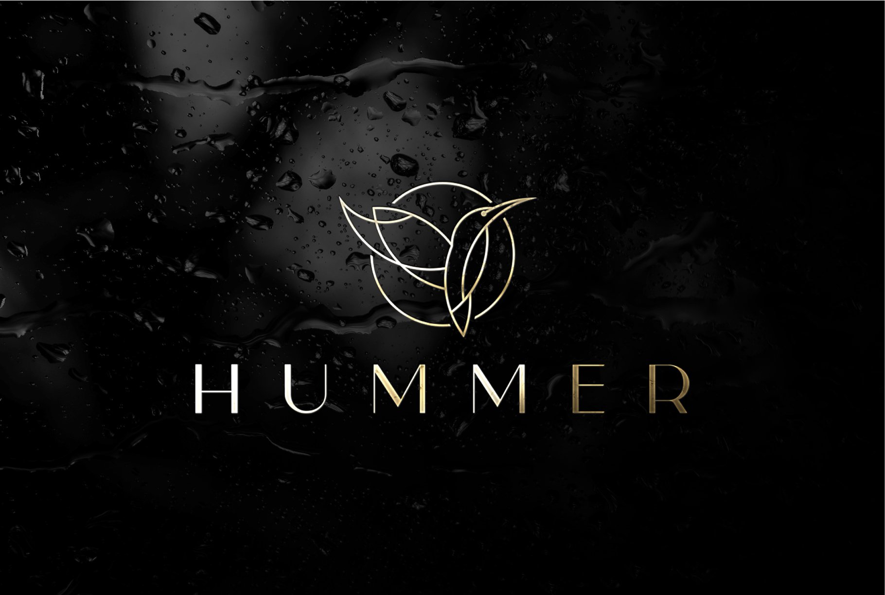 Humming Bird logo cover image.
