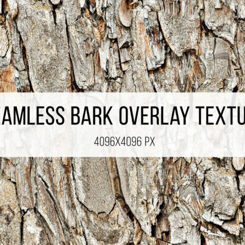 Seamless Bark Texture cover image.