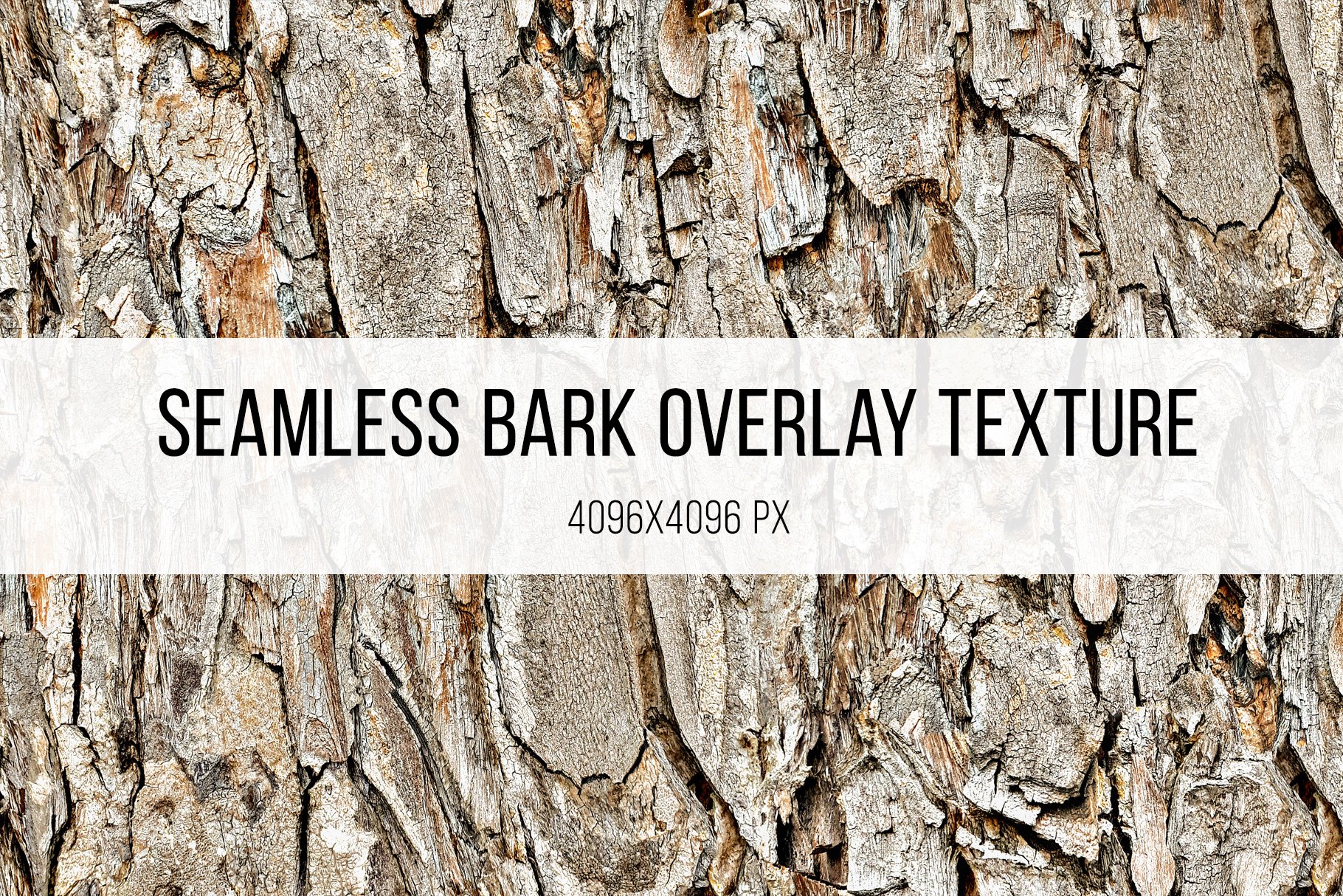 Seamless Bark Texture cover image.