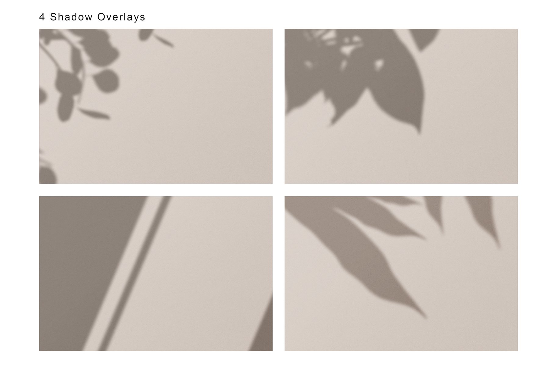 shadow overlays 292