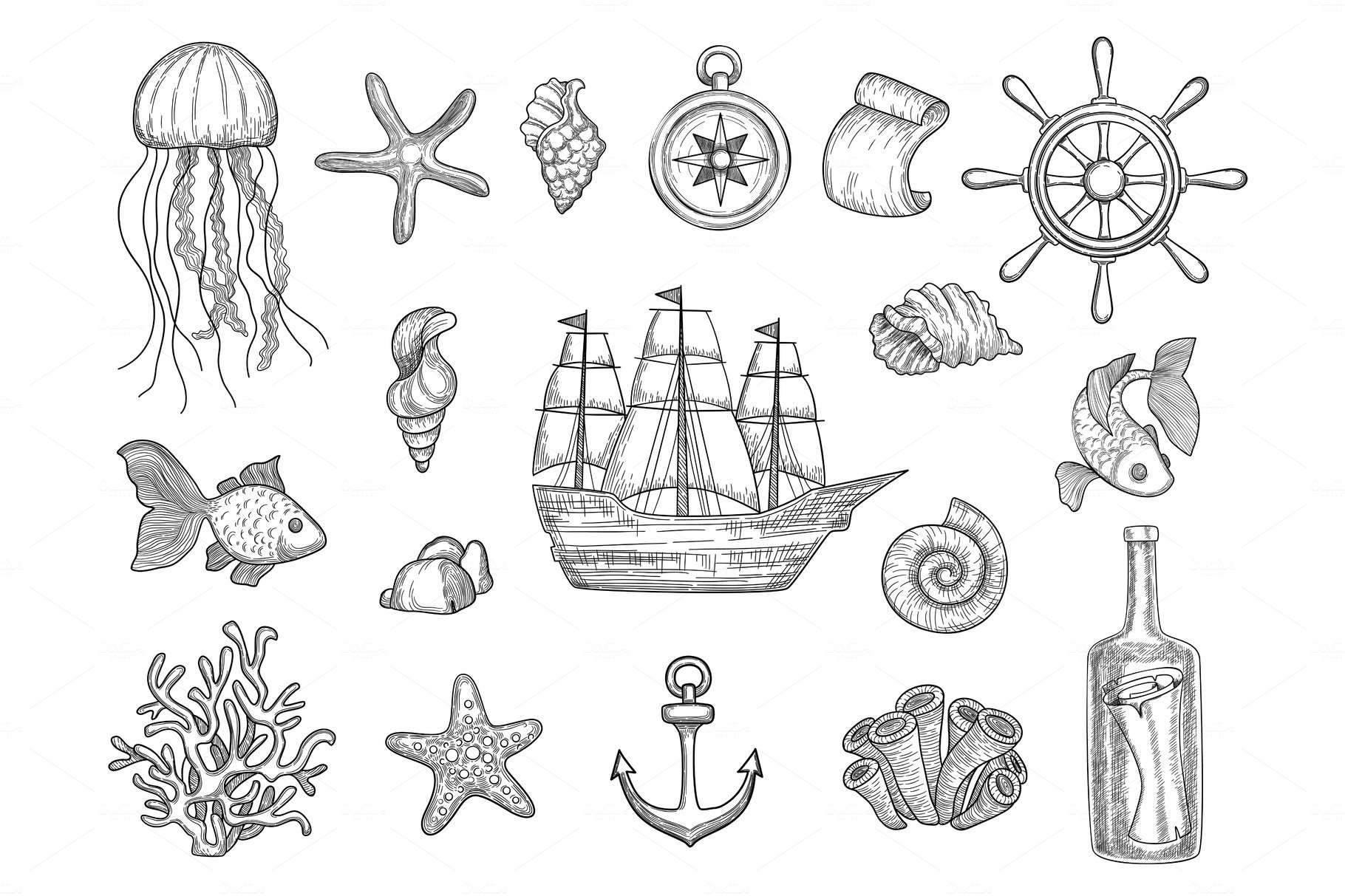 Marine symbols. Fish ship shells cover image.