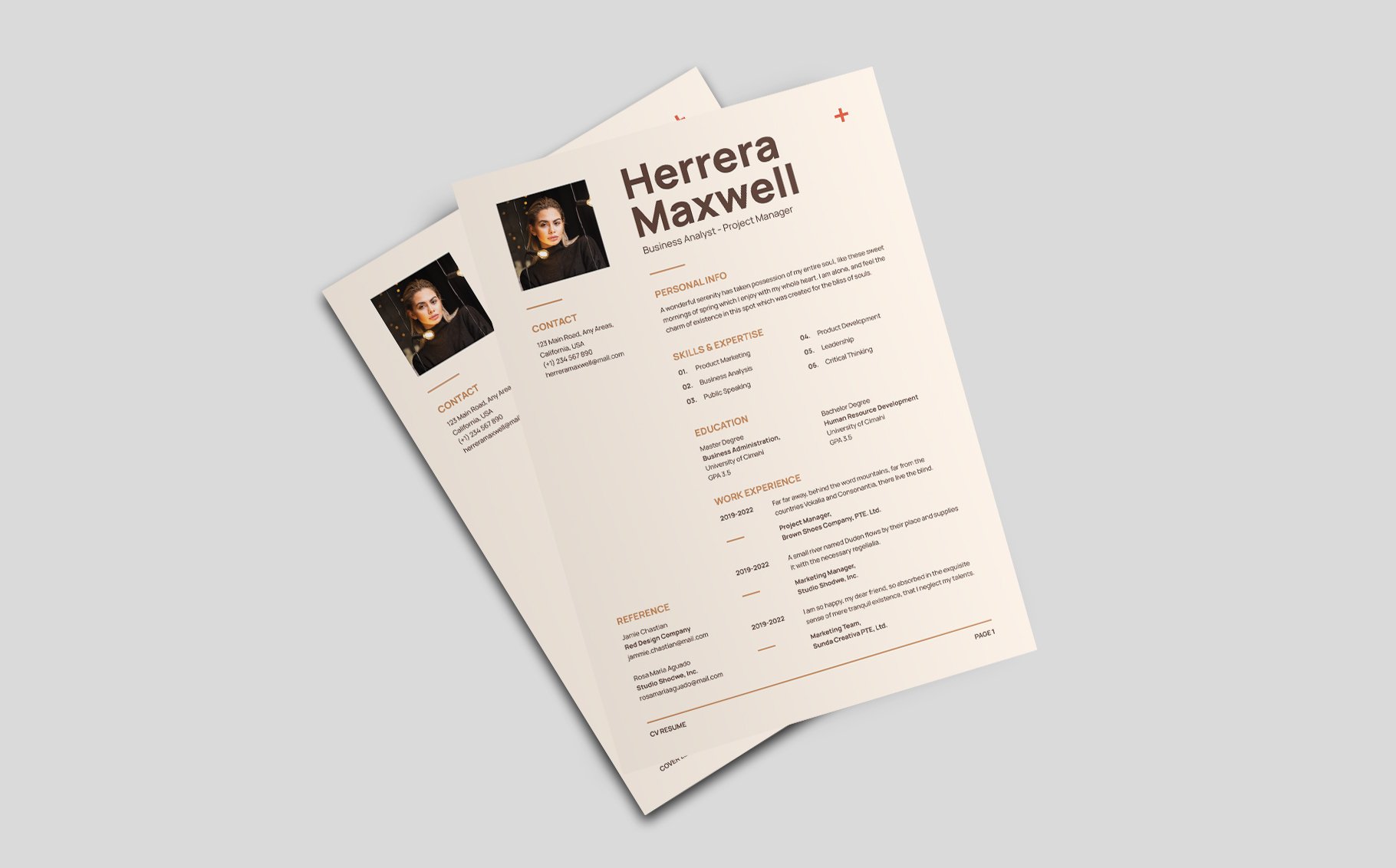 CV Resume - Modern Swiss Style preview image.