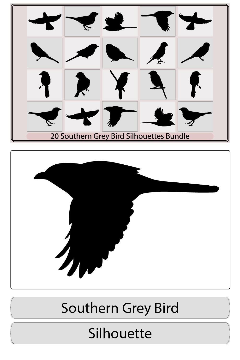southern grey shrike bird silhouettes,southern grey shrike bird illustration,southern grey shrike bird vector pinterest preview image.