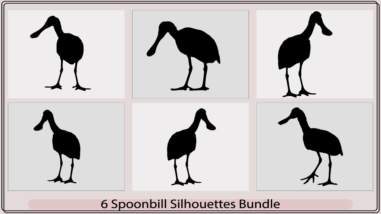 Six spoonbill silhouettes bundle.