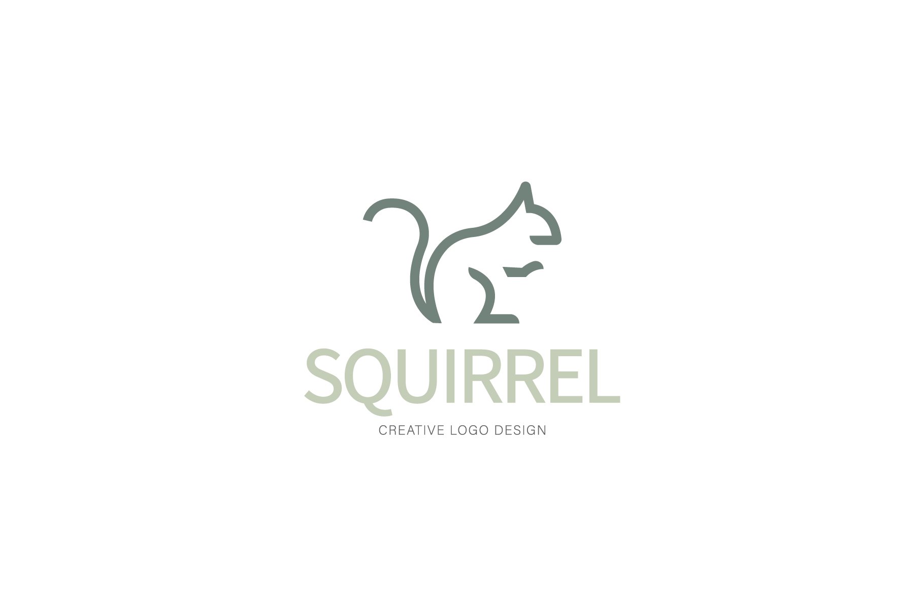 squirrel logo cover image.