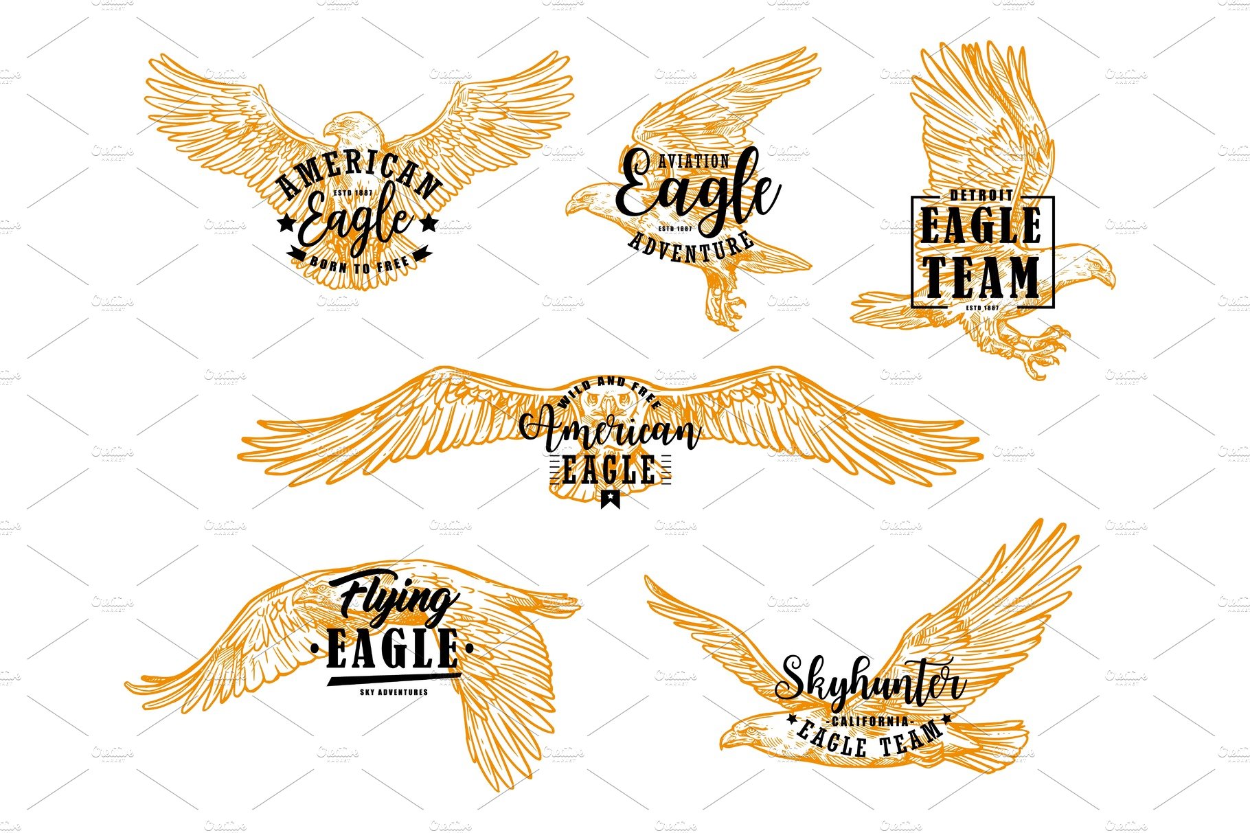 Eagle, hawk or falcon letterings cover image.