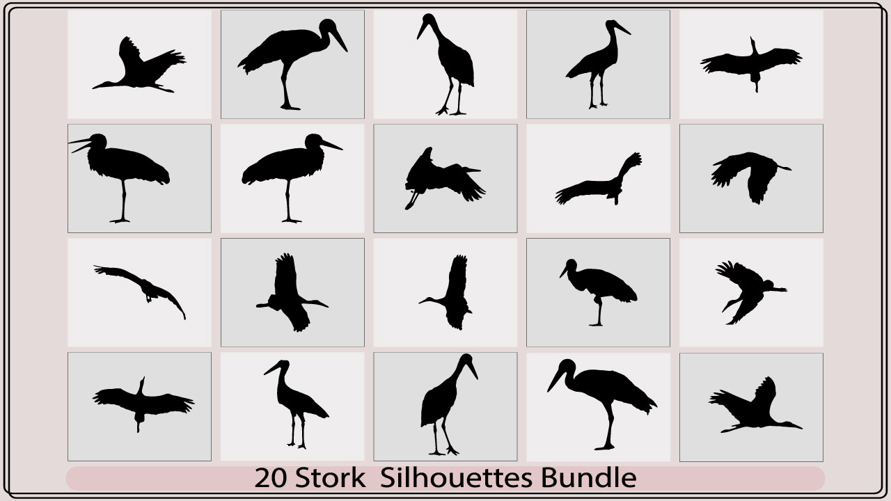 Collection of silhouettes of different birds.