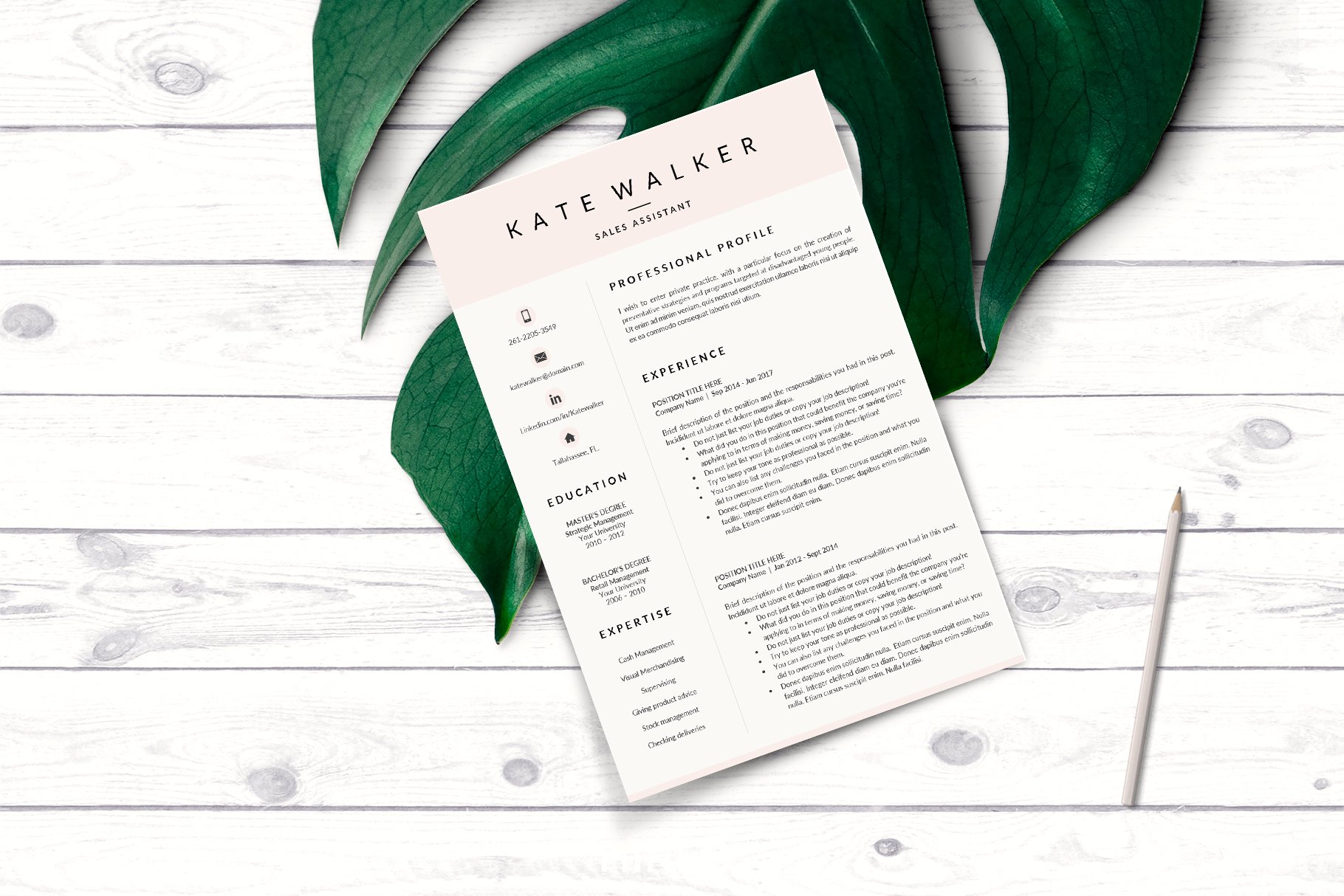 stylish resume template bundle for sales manager 314