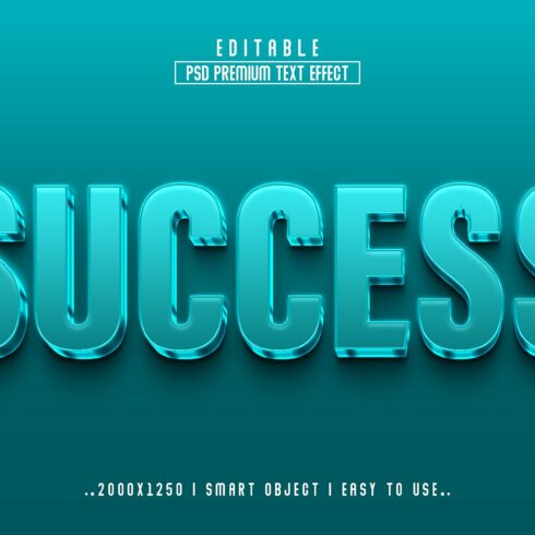 3d type of the word success.