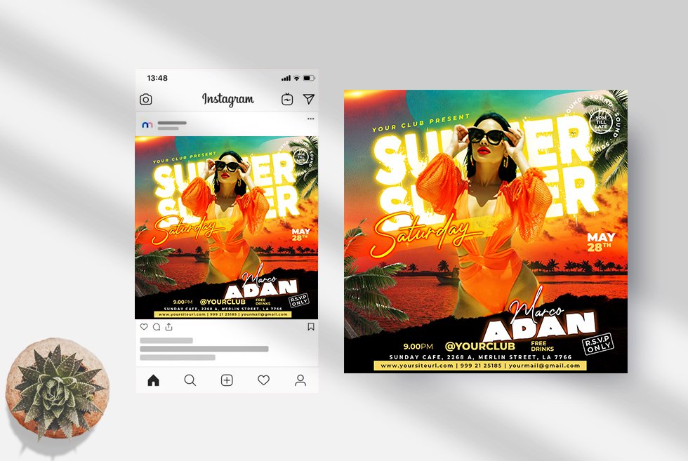 Summer Party Instagram Banner (PSD) preview image.