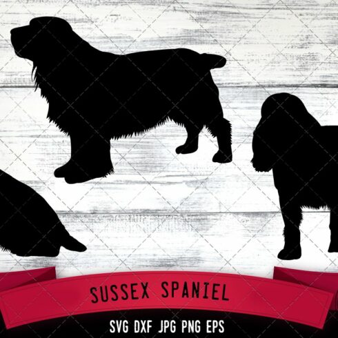 Sussex Spaniel Silhouette Vector cover image.
