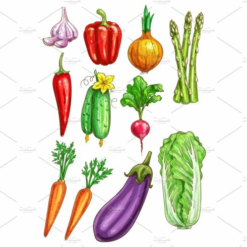 Vegetables vector sketch isolated icons cover image.
