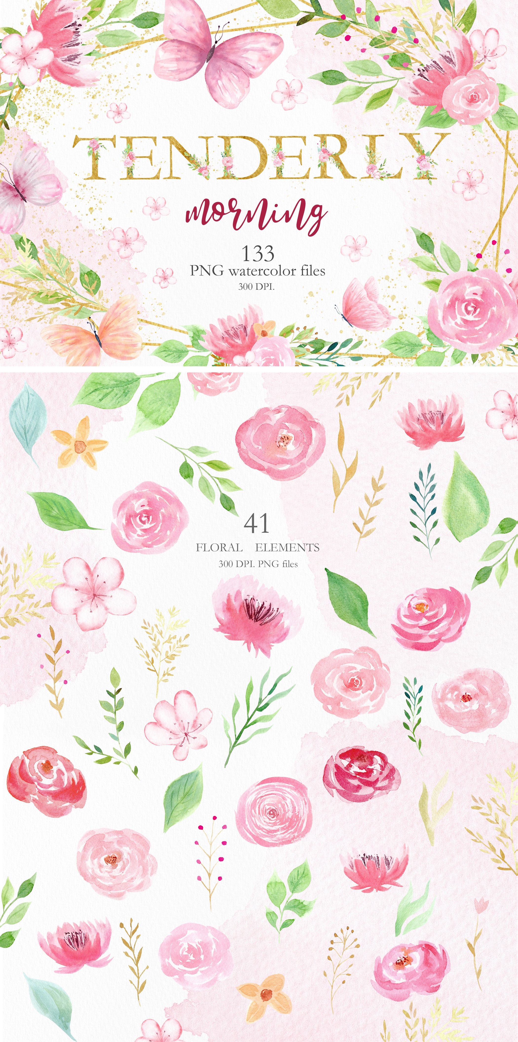 Watercolor Floral and Butterfly Set cover image.