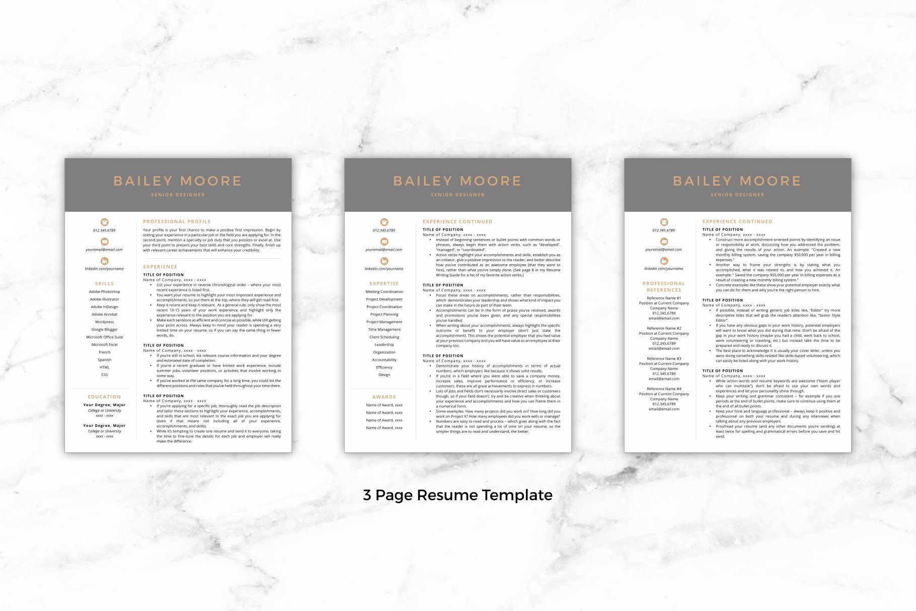 three page resume template 579