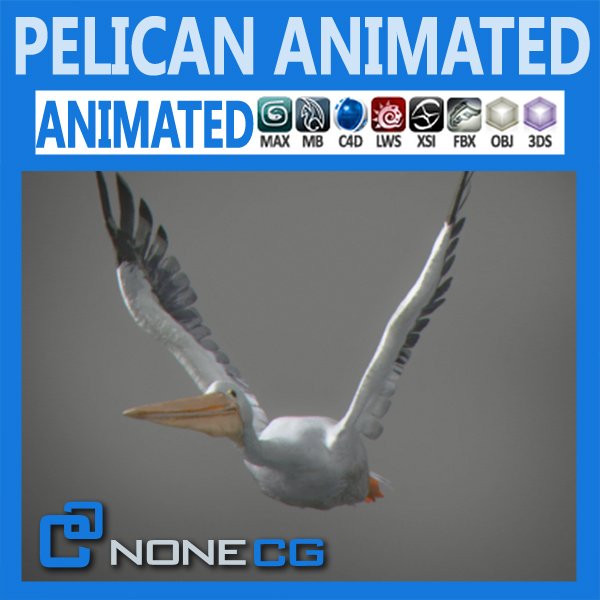 Animated Pelican cover image.