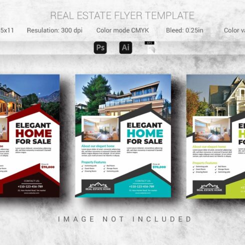 Real Estate Flyer Template (Editable cover image.