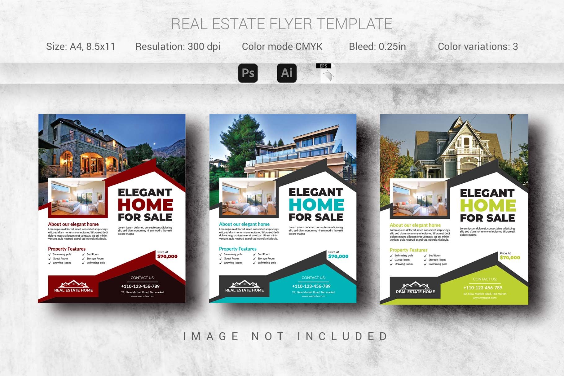 Real Estate Flyer Template (Editable cover image.