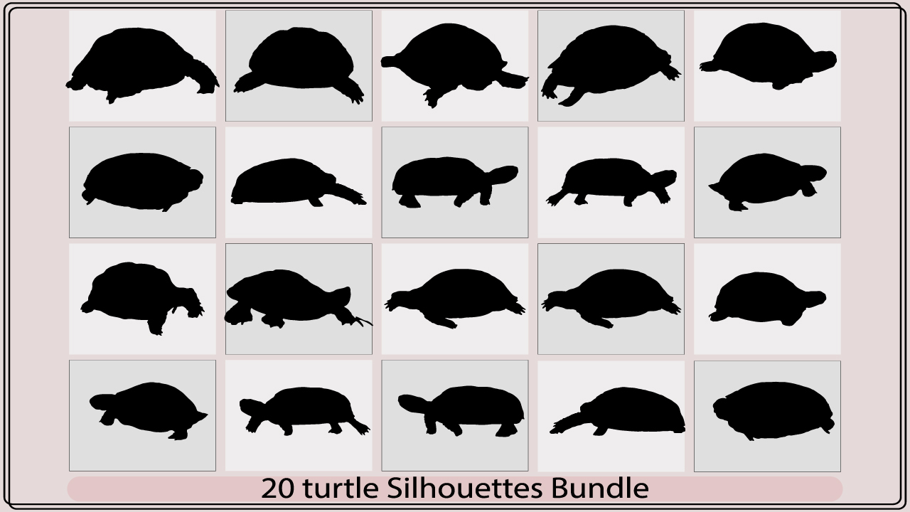 tortoisemb add media 747