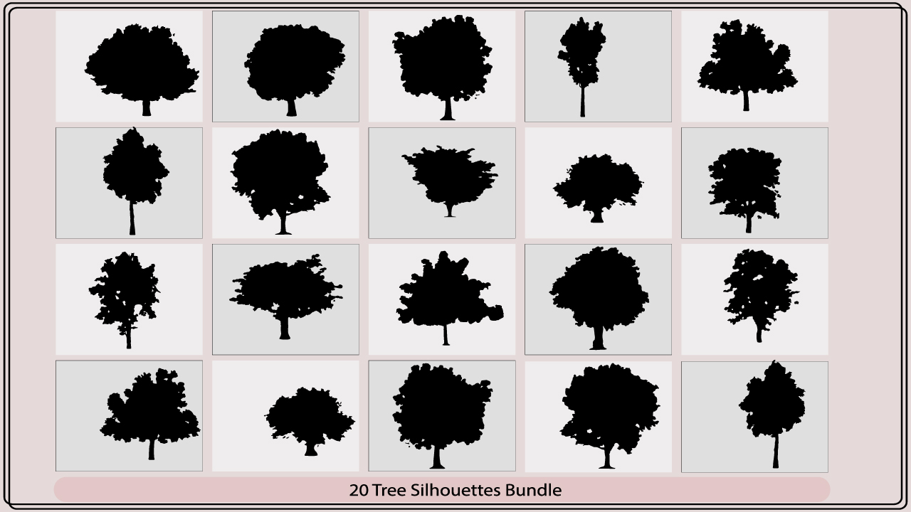 The silhouettes of different trees are shown.