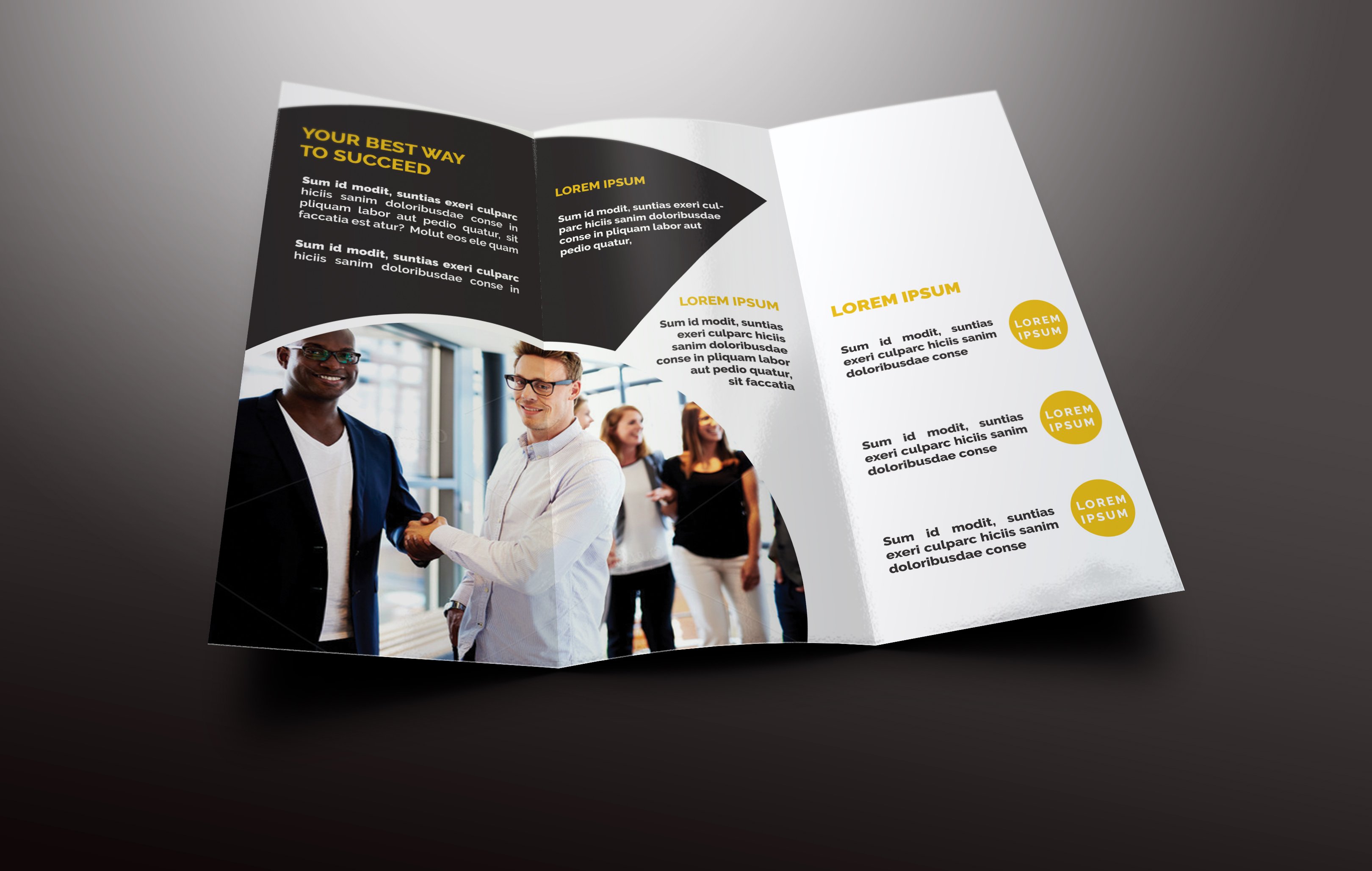 Business Tri-fold Brochures preview image.