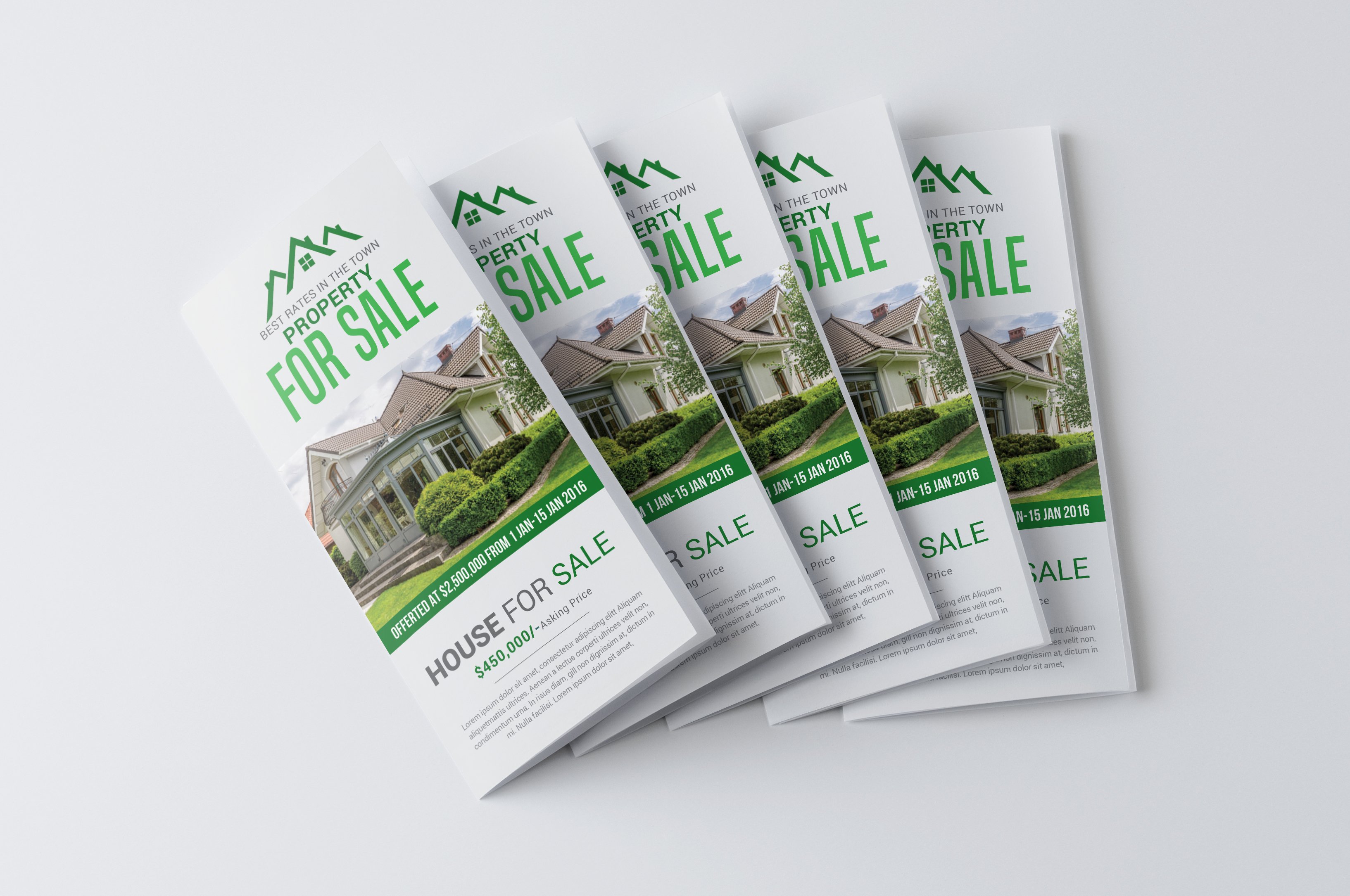 Real Estate Trifold Brochure preview image.