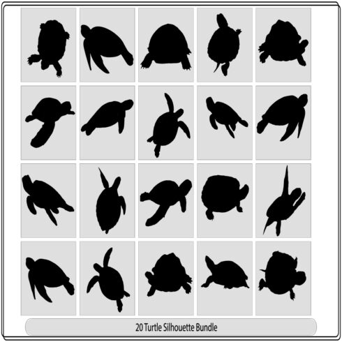Silhouettes turtle-vector,Turtle Vector Silhouettes Collection of turtle vector silhouettes cover image.
