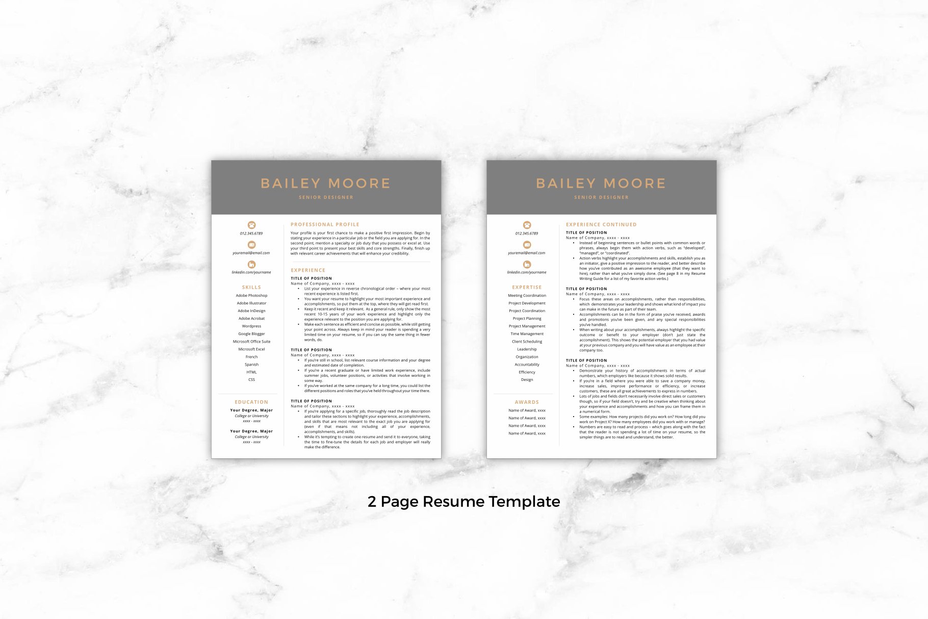 two page resume template 915