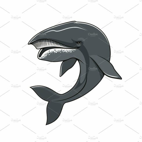 Whale or cachalot isolated vector mascot icon cover image.