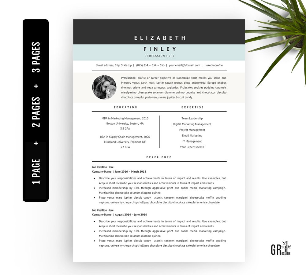 Professional Resume Template - 40 preview image.