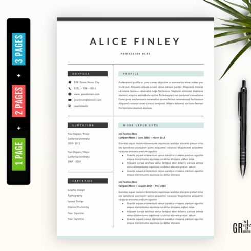 Professional Resume Template - 41 cover image.