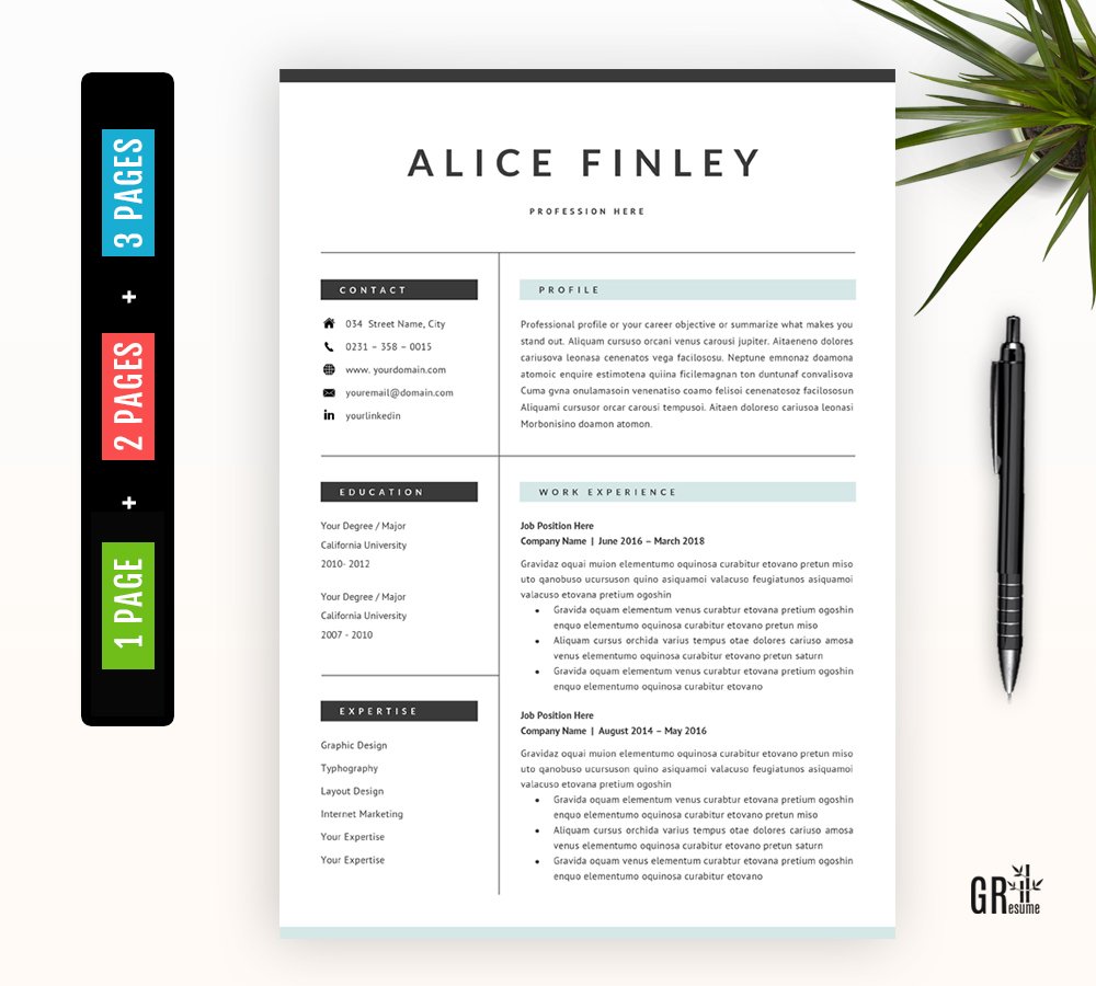 Professional Resume Template - 41 cover image.