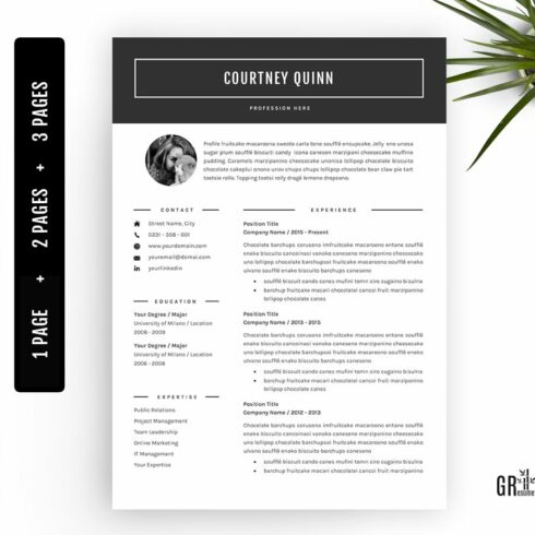 3 Page Professional Resume template cover image.