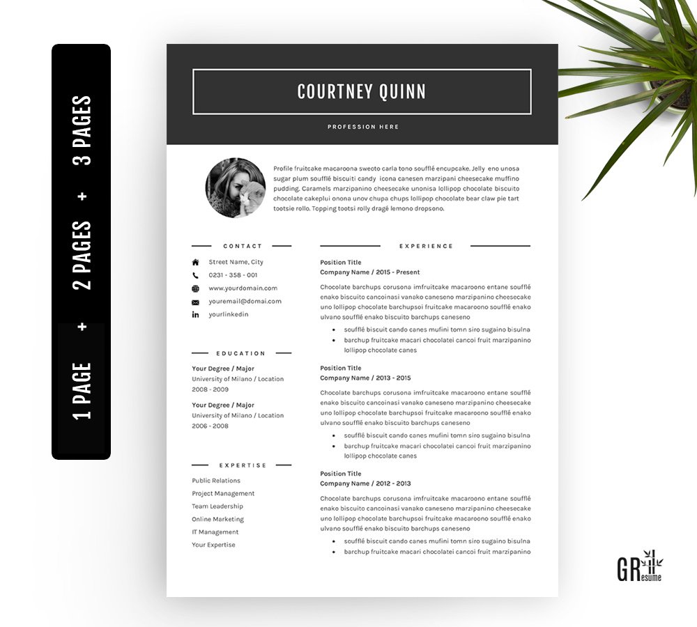 3 Page Professional Resume template cover image.
