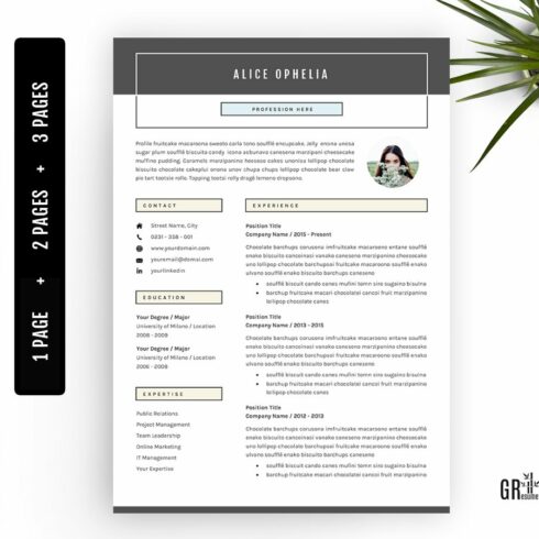 5 Pages Resume - CV Template cover image.