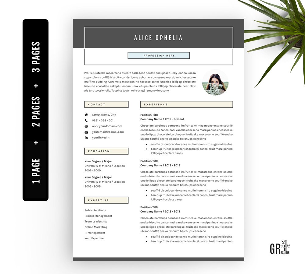 5 Pages Resume - CV Template cover image.