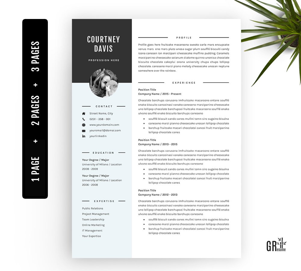 3 Pages Resume template CV Template preview image.