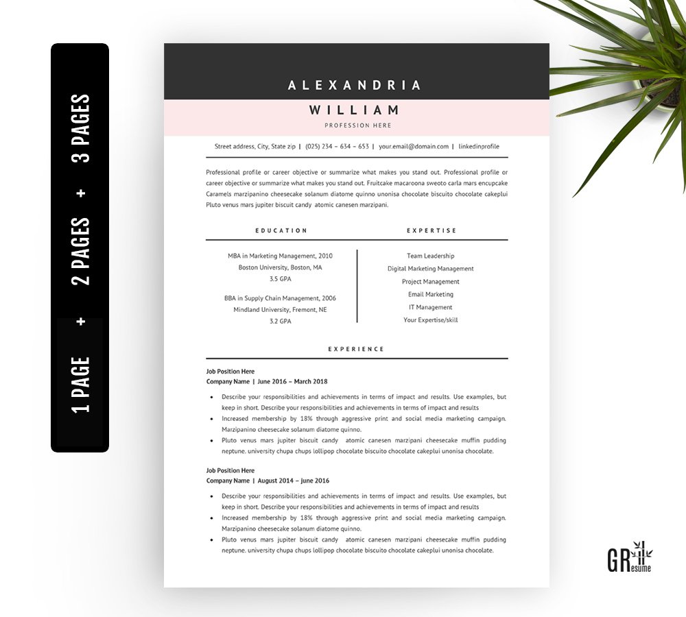 Professional Resume Template - Word preview image.