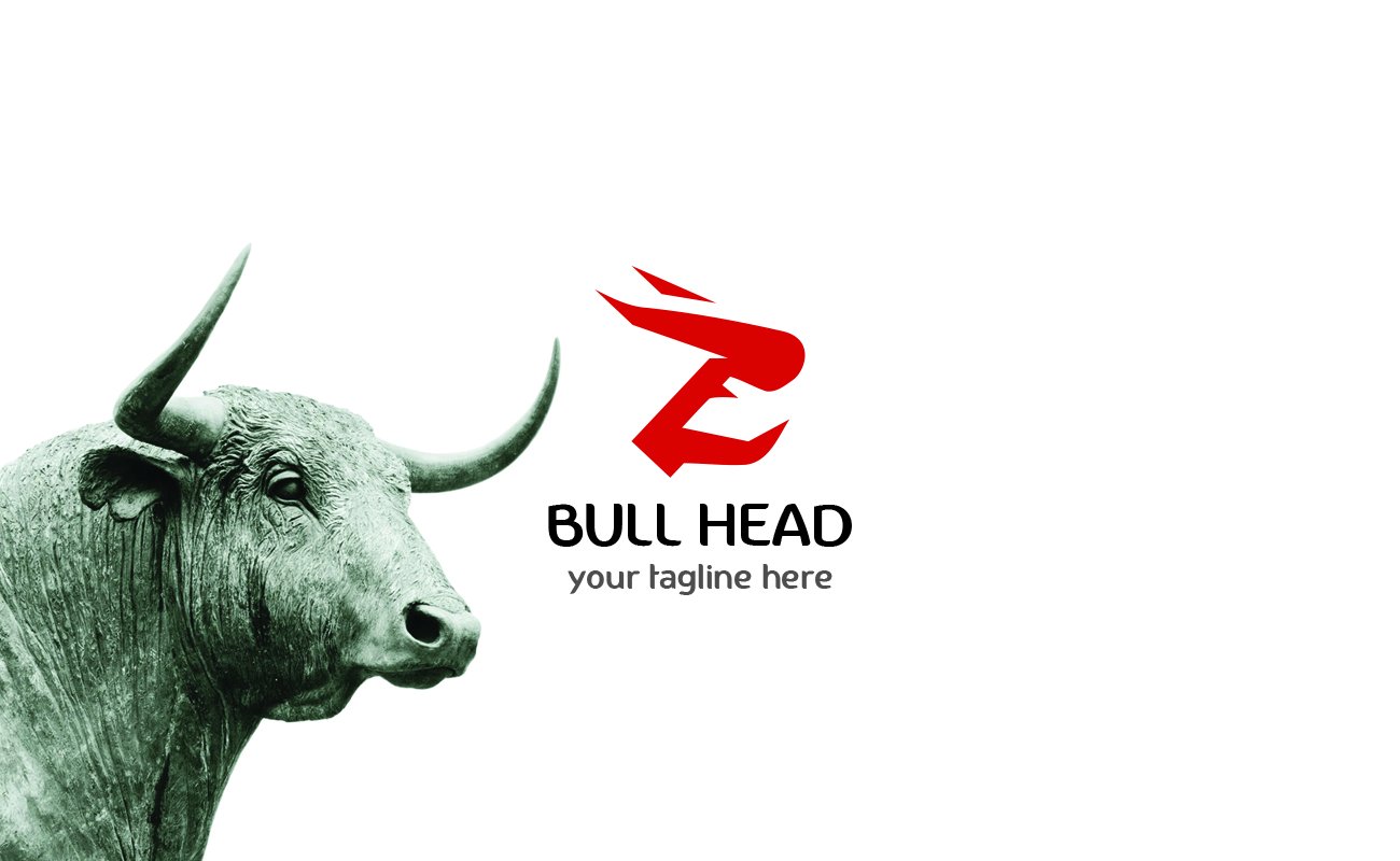 Bulls Head Logo cover image.