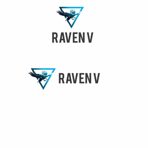 Raven V Logo cover image.