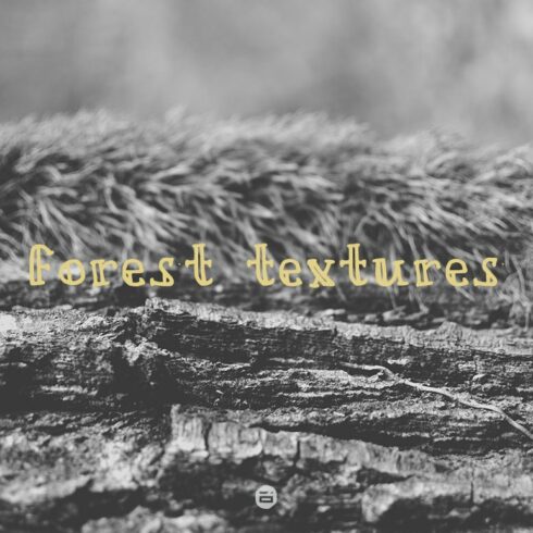 Forest textures cover image.