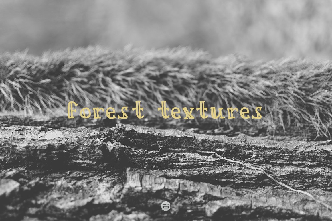 Forest textures cover image.