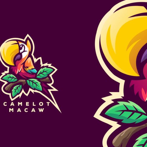 Camelot Macaw Logo cover image.