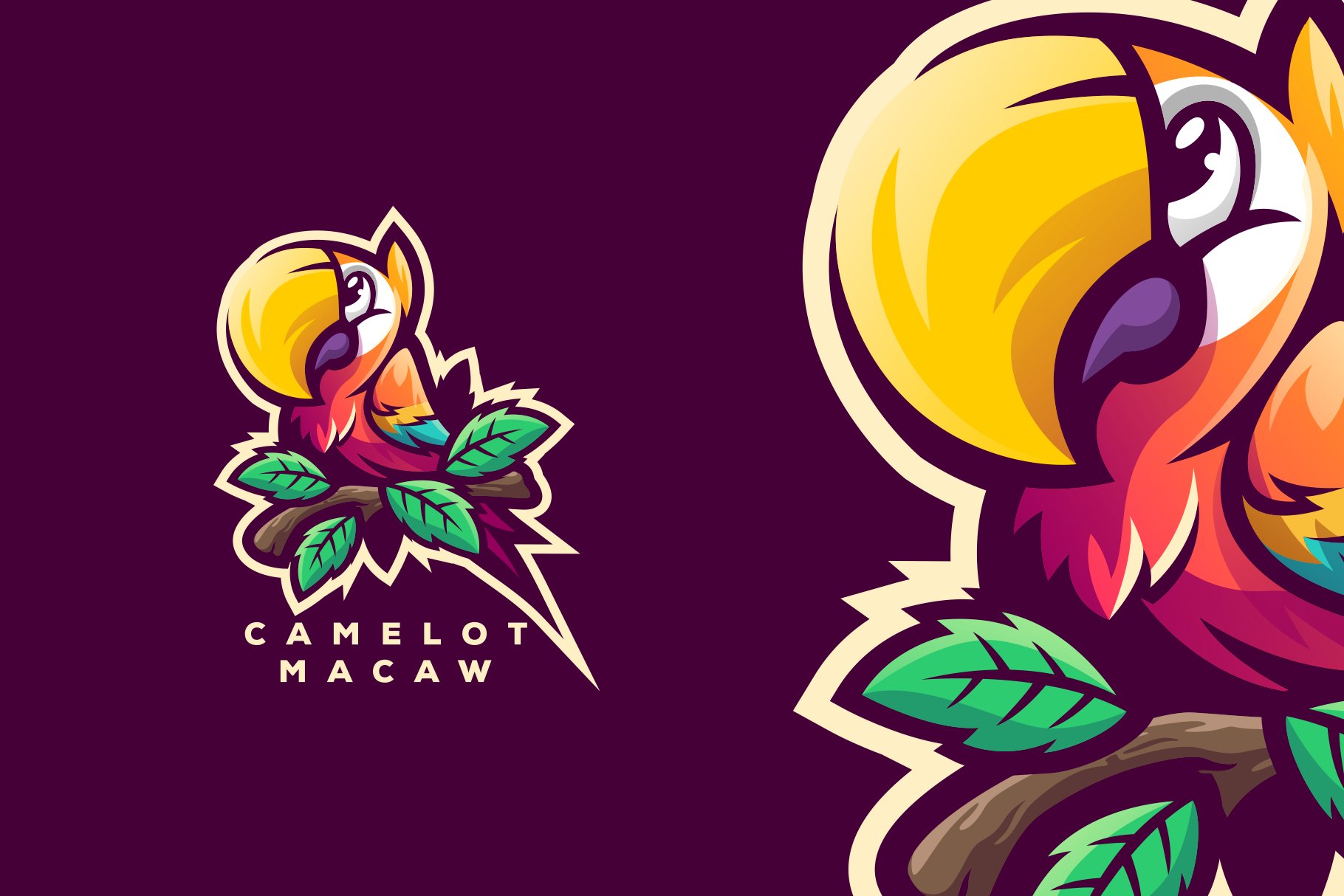 Camelot Macaw Logo cover image.