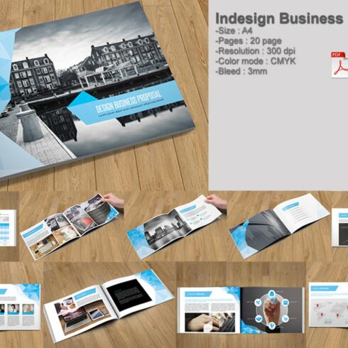 Indesign Business Proposal-V213 cover image.
