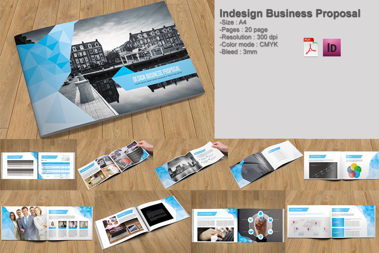 Indesign Business Proposal-V213 cover image.